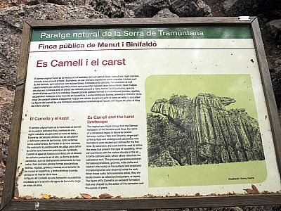 An einer Tafel können wir uns über die Entstehung der Karstformation informieren