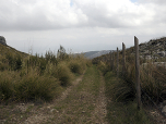 ... und folgen dem Feldweg nach Süden.