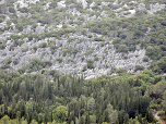 Auch die Karstfelsen unter uns beeindrucken