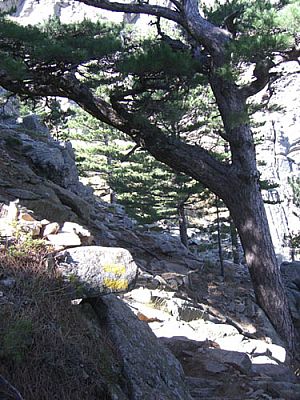 ...geht es wieder bergab