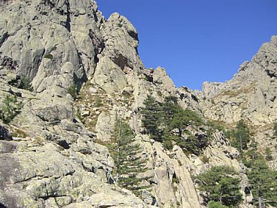 ...wird an seiner rechten Seite...