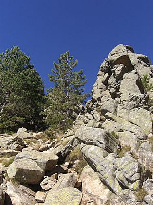 ...zur Col de l'Oiseau