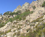 Am Beginn des alpinen Steigs