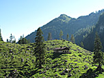 Blick zurück zum Heuberg