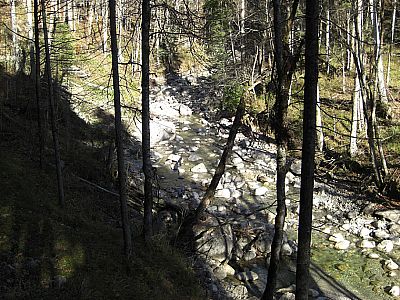 Wieder treffen wir auf die Laine...