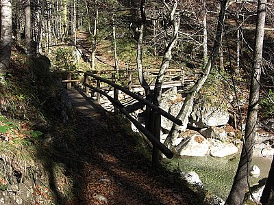 ...und überqueren diese später