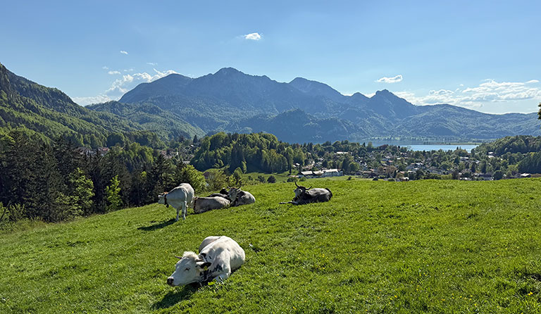 Rabenkopf (1555 m) - Von Jachenau nach Kochel am See