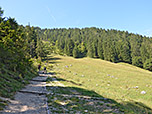 Ein mit Stufen ausgebauter Weg, der Girgl-Fischer-Weg, leitet uns zügig bergauf