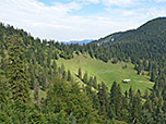 Blick zurück zur Pessenbacher Alm und zum Pessenbacher Joch