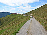 Über einen breiten Forstweg...