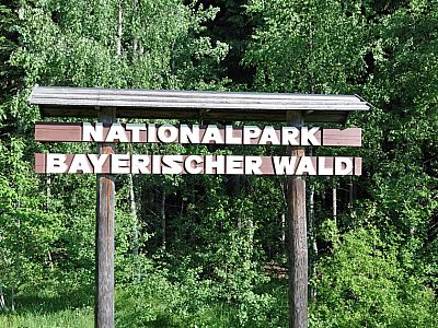 Vom Parkplatz in Spiegelau...