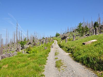 zieht sich der Weg in der Sonne...