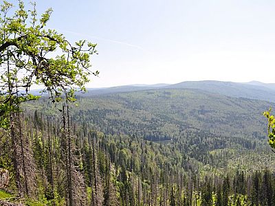 um den Rachelsee zu sehen.