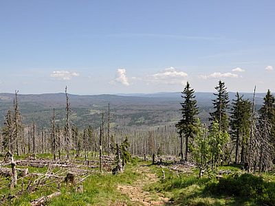 Schwierig zu beurteilen, ob