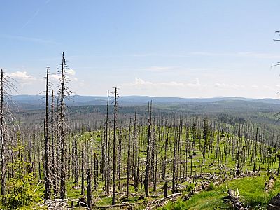 der Mensch bei so einem Ausmaß an