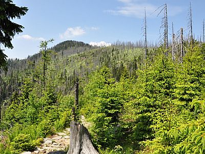 Blick zurück Richtung Gipfel