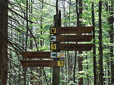 Hier links dem Wegweiser Specht folgen.