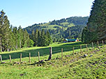 Blick zurück zur Hillsteineralm