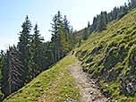 ...und queren diesen über einen Karrenweg