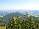 ...zum Sulzberg...