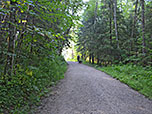 Wir wandern durch lichten Wald...