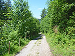 ...geht es hinunter zum Aufstiegsweg