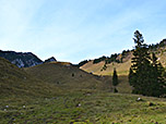 Almgelände unterhalb der Lechneralm