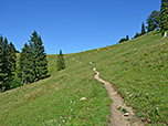 ...bergauf zum Sattel zwischen Farrenpoint und Mitterberg