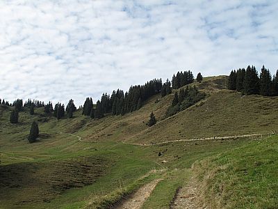 ...bis wir auf den Verbindungsweg vom Sessellift treffen