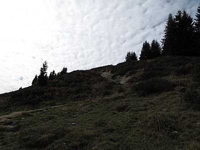 ...zum sanften Gipfelhang