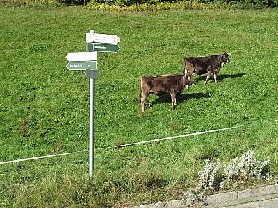 Bestens ausgeschildert