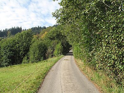 ...und wandern weiter über geteerte Wege