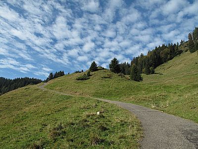 Es regiert weiterhin der Asphalt