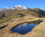 Hinten der Roßkopf