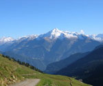 Immer wieder der Blick zur Ahornspitze