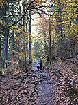...und schlagen dort den Weg zum Spitzingsattel ein