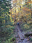 Eine sumpfige Passage ist mit Holzplanken ausgelegt