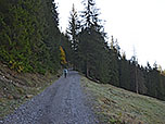 ...und folgen dem Forstweg in Richtung Obere Maxlraimeralm aufwärts