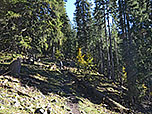 ...stets links von der Piste