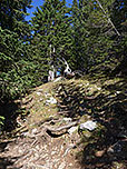 Durch lichten Bergwald...