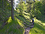 Über die Sackgrabenalm...