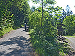 Über einen Forstweg...