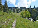 Wir lassen den Bergwald hinter uns...