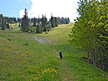 Über die aufgelassene Piste steigen wir bergauf...