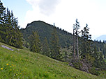 Blick zum Hinteren Rauschberg