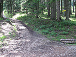 Hier überqueren wir eine Forstweg...