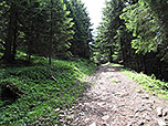 In mäßiger Steigung...