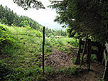 Waldstücke...