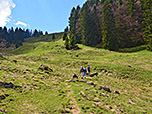 Oben erkennen wir bereits die Gipfelkuppe