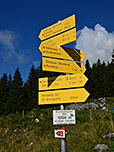 Wegweiser an der Wochenbrunner Alm